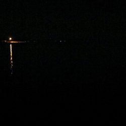 オキソメバルがパタパタと